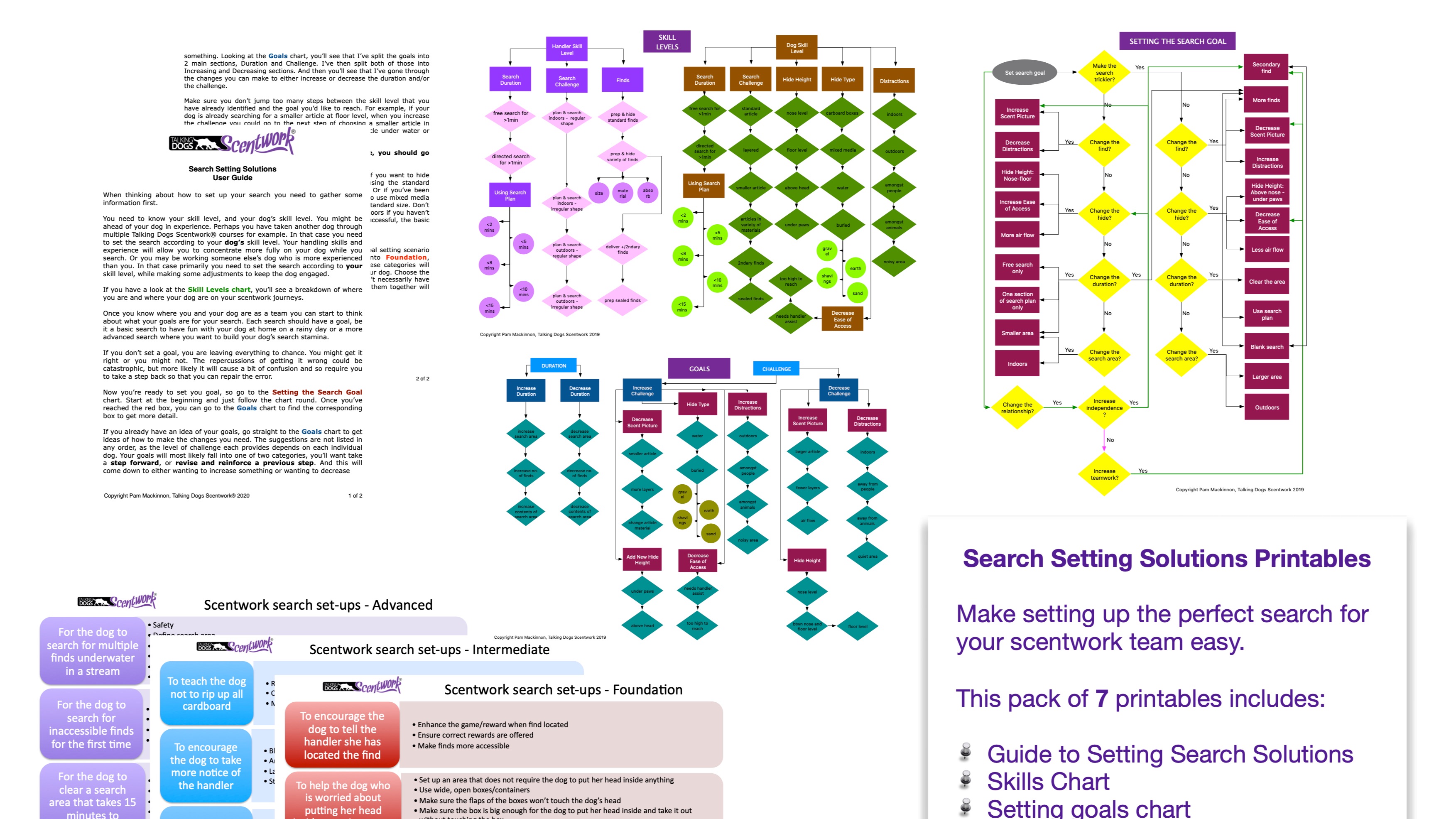 Product image for Search Setting Solutions Printables