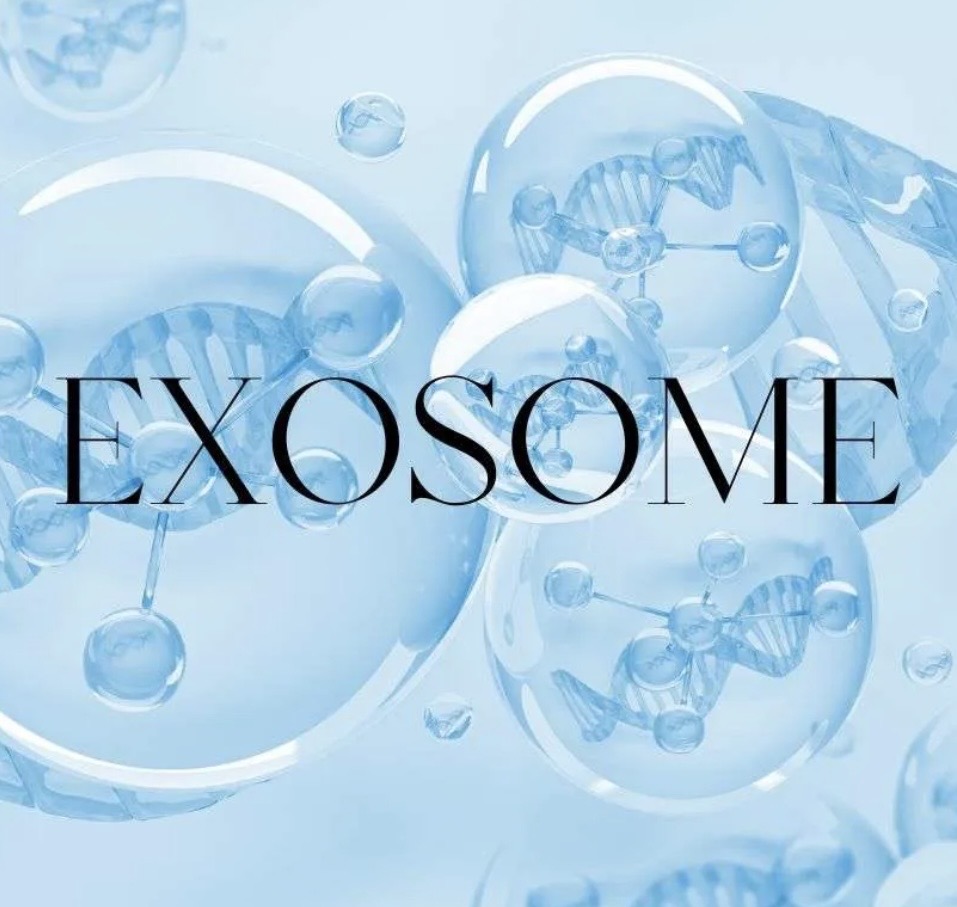 Product image for Exosomes online training 