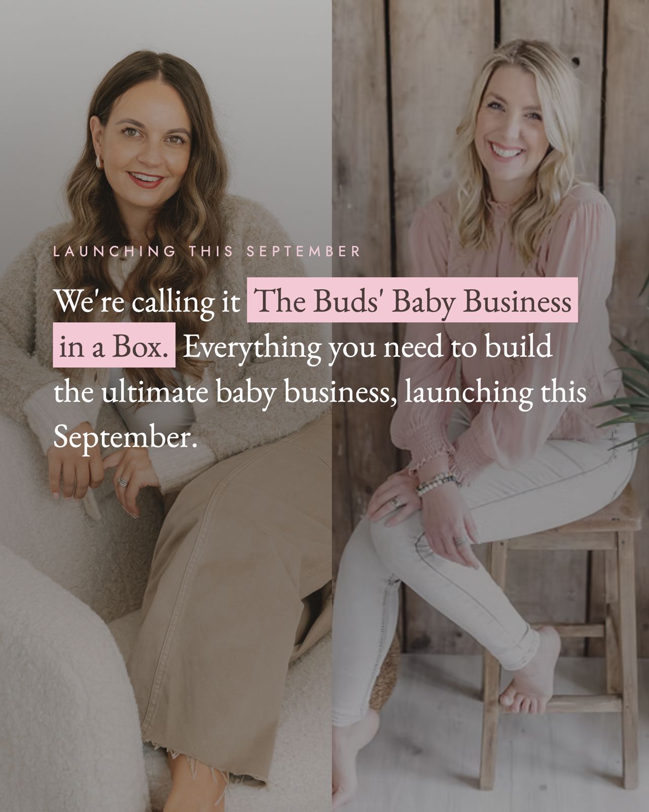 Product image for The Buds' Business in a Box