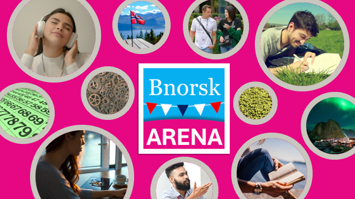 Product image for Bnorsk ARENA
