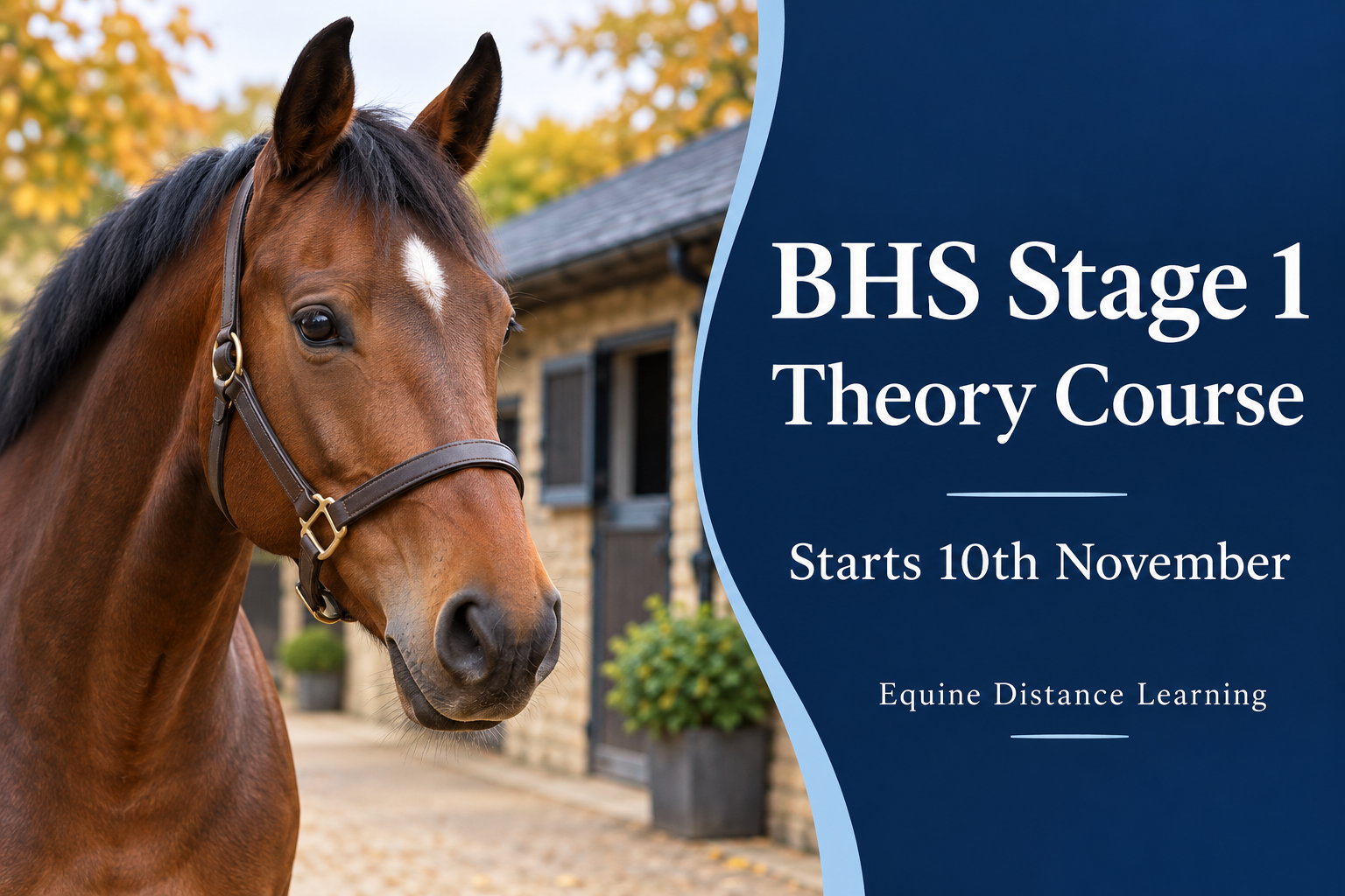 Product image for BHS Stage One Training Course