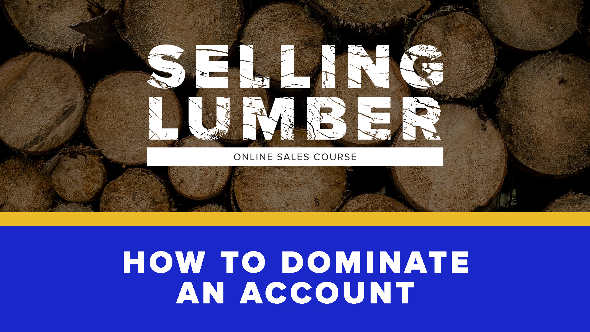 Product image for How to Dominate an Account