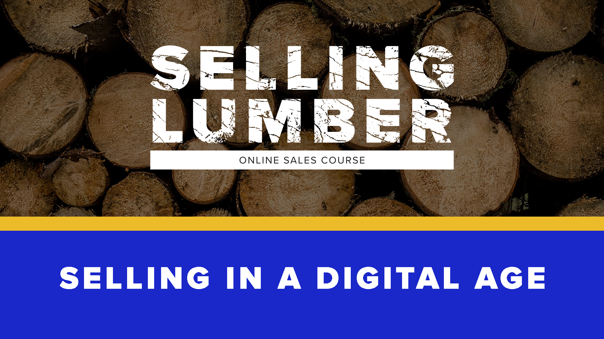 Product image for Selling in a Digital Age