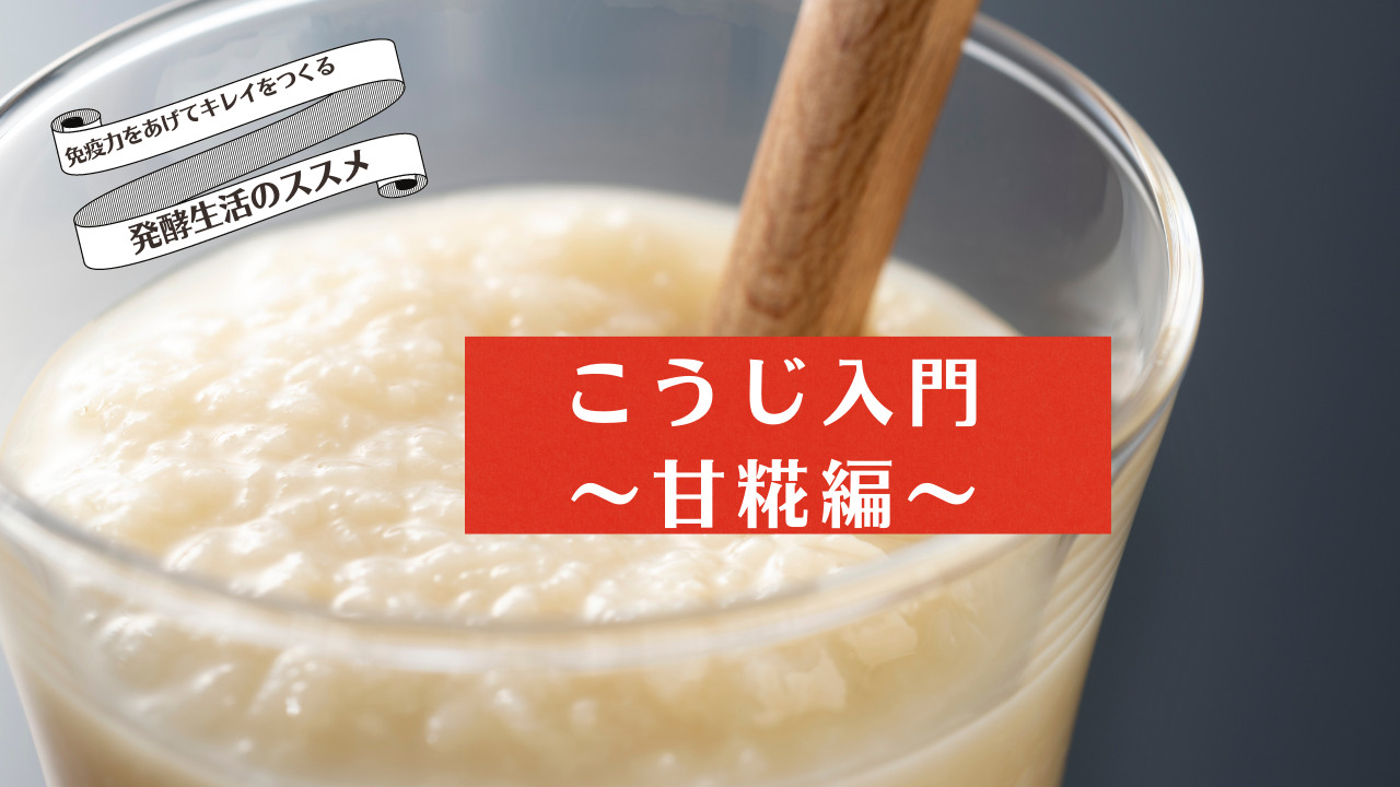 Product image for  (1) 糀入門〜甘糀・基本編〜