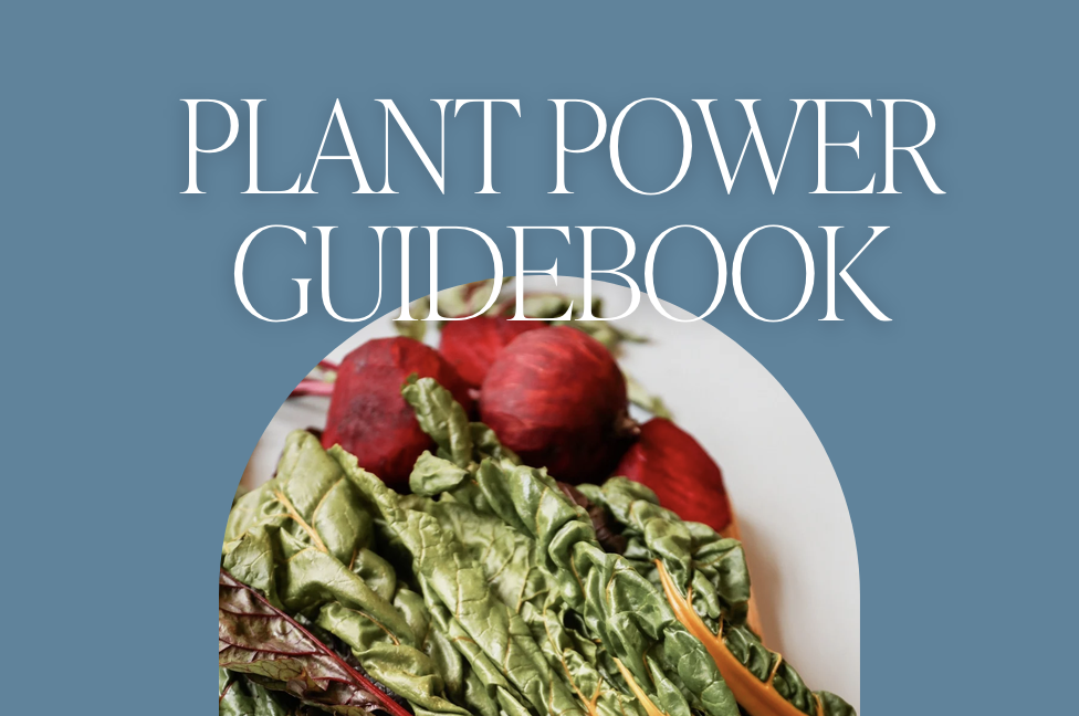 Product image for Plant Power Guidebook & Recipes