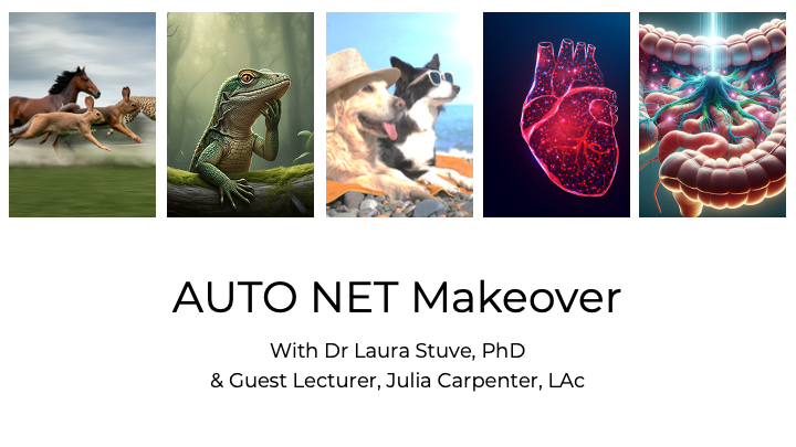 Product image for Adv Networkers: AUTO NET Makeover Mini-Workshop