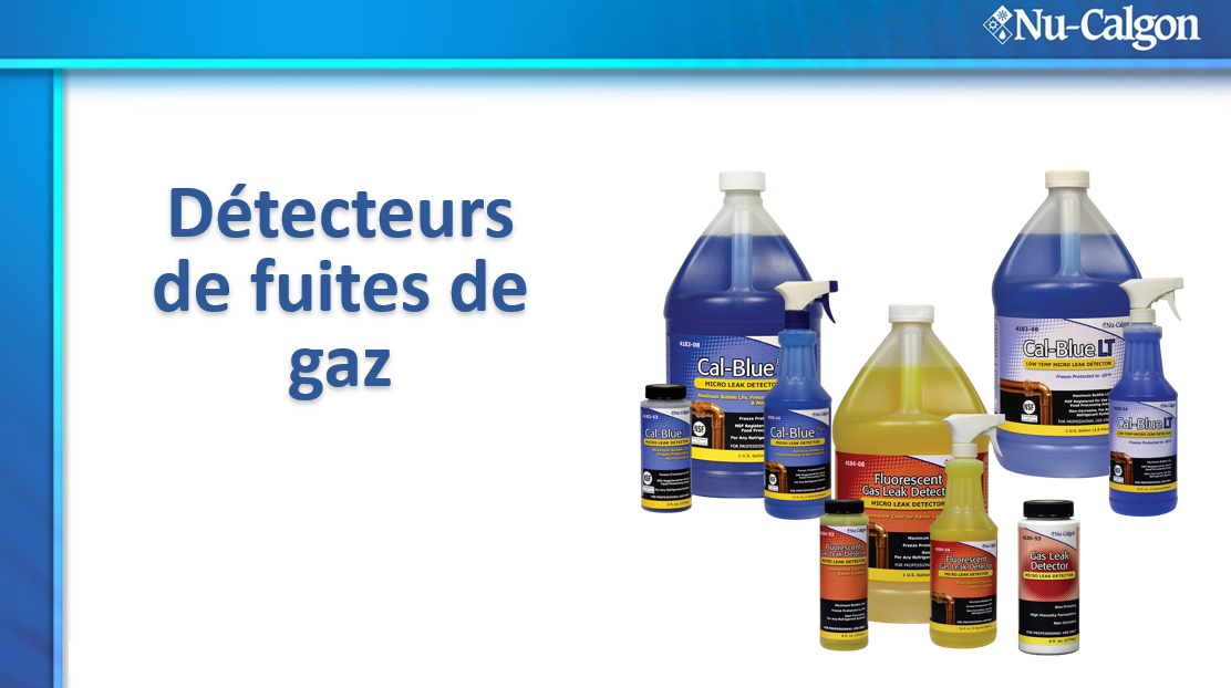 Product image for Gas Leak Detectors (FRENCH) NATE ID: 1826-0014