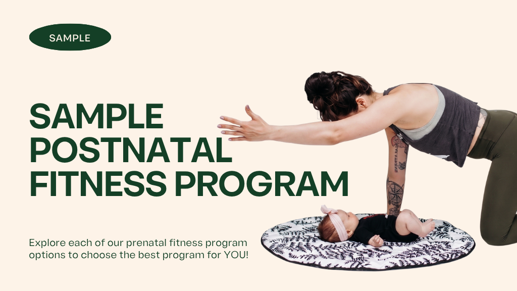 Product image for Sample Postnatal Fitness Program