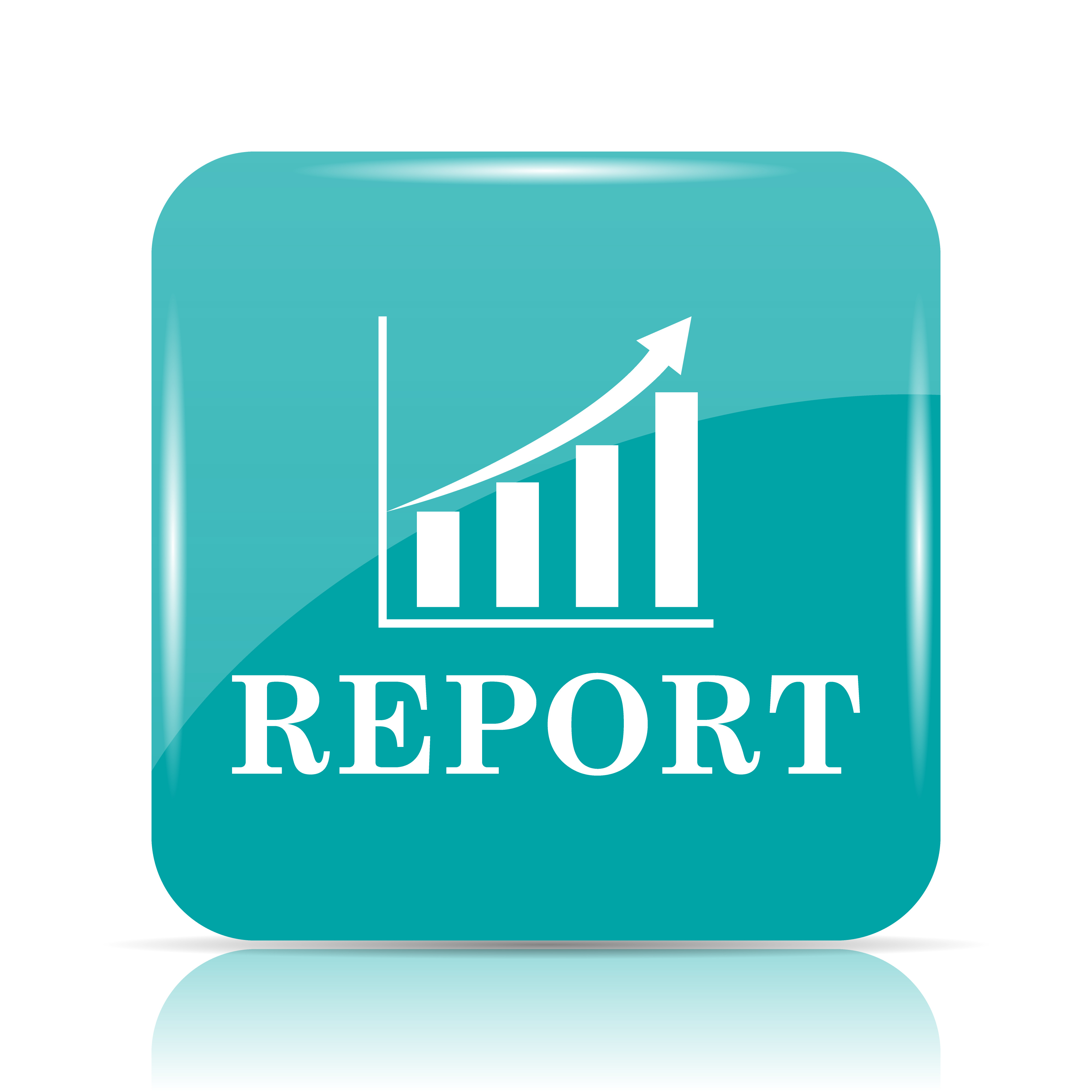 Product image for Reports