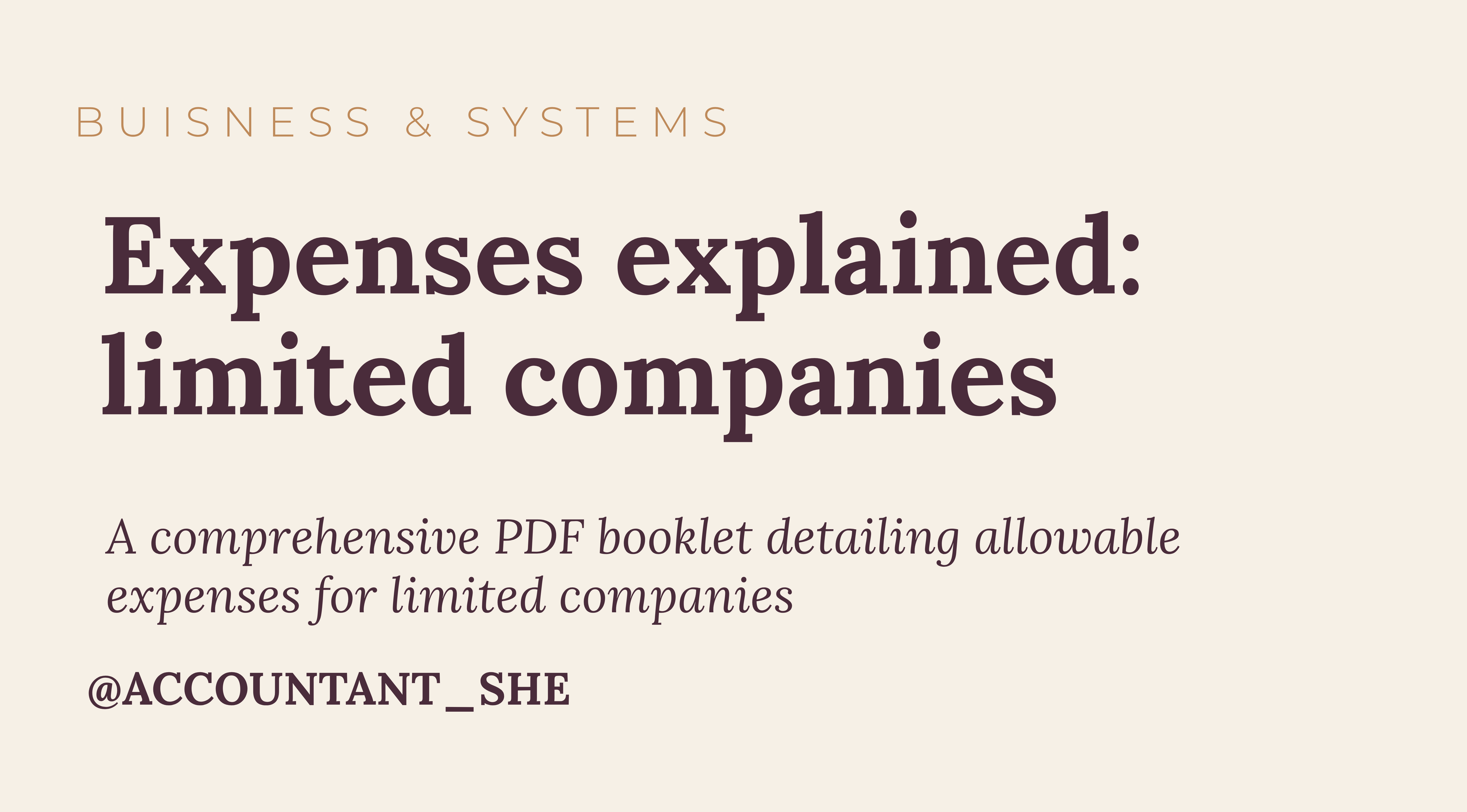 Product image for LTD Company Expenses Explained 