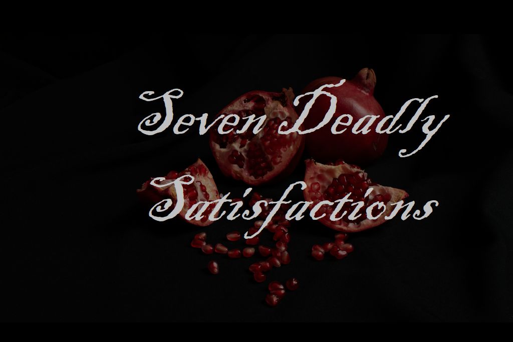 Product image for 7 Deadly Satisfactions