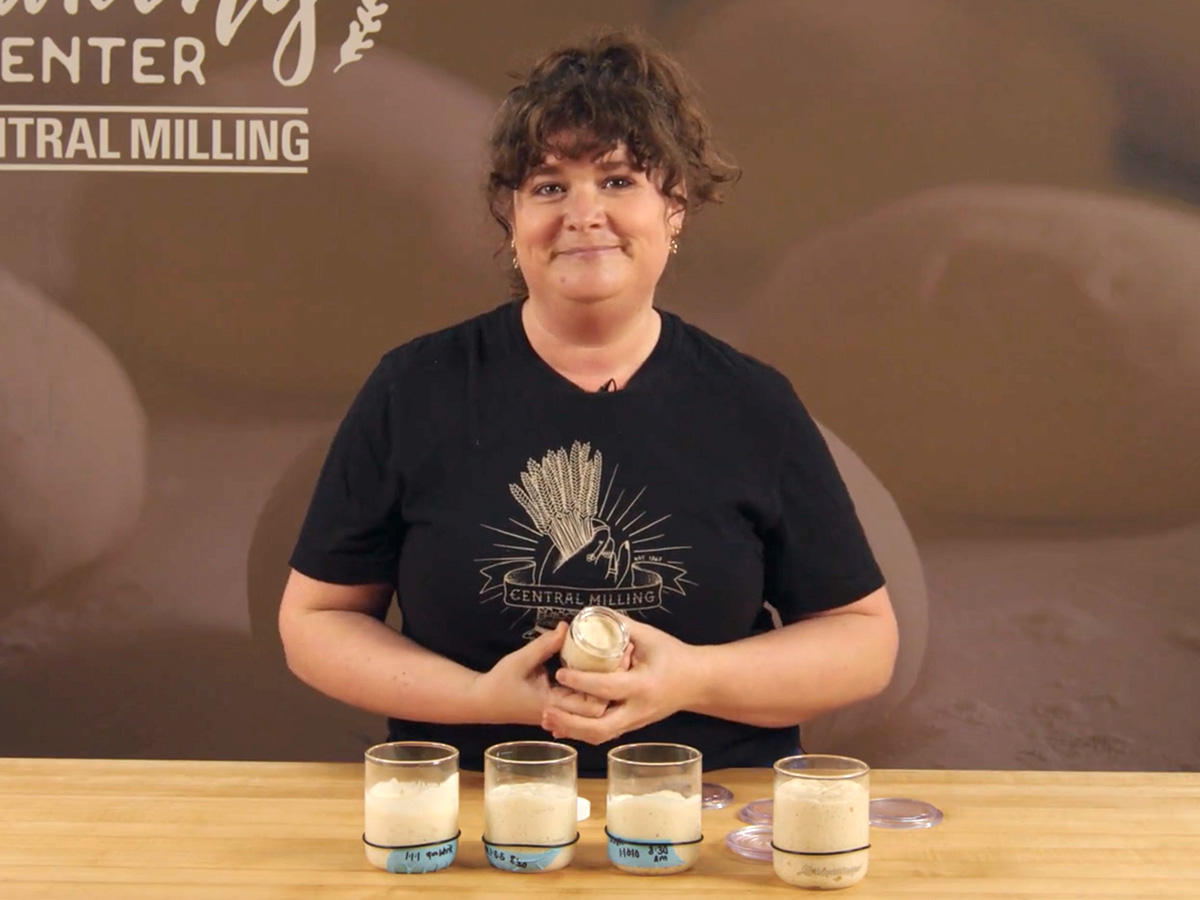 Laila O'Boyle Sourdough Starter Class