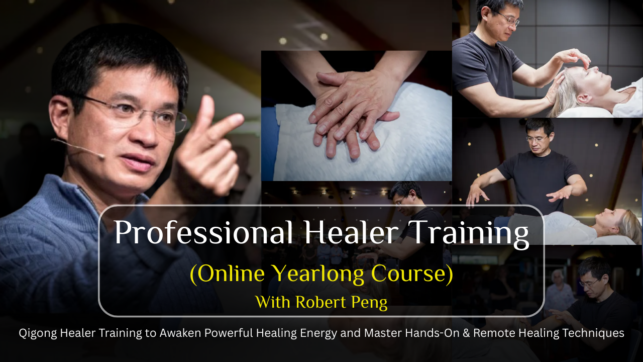 Product image for Professional Healer Training: The Inner Transmission of Qigong