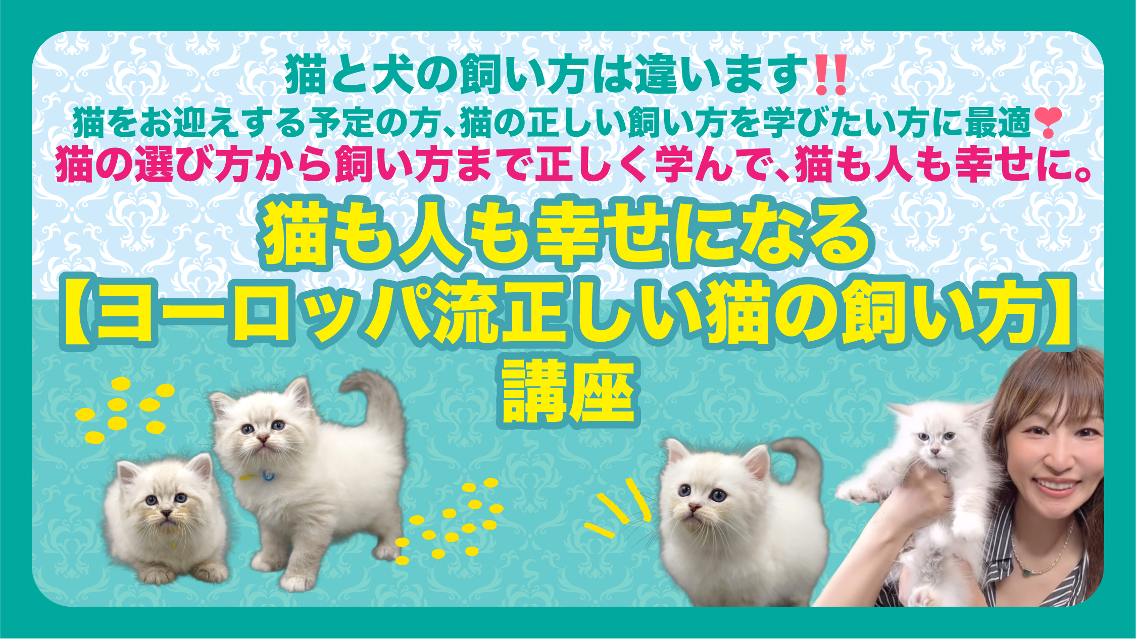 Product image for 猫も人も幸せになるヨーロッパ流正しい猫の飼い方講座
