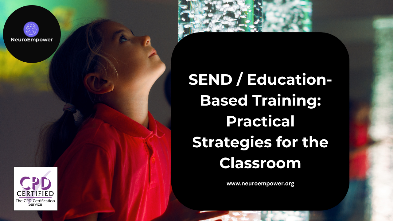 Product image for (CPD) SEND / Education-Based Training:  Practical Strategies for the Classroom
