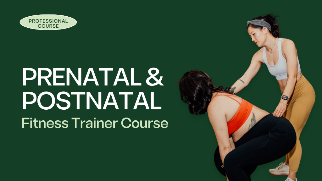 Product image for Prenatal & Postpartum Fitness Trainer Course