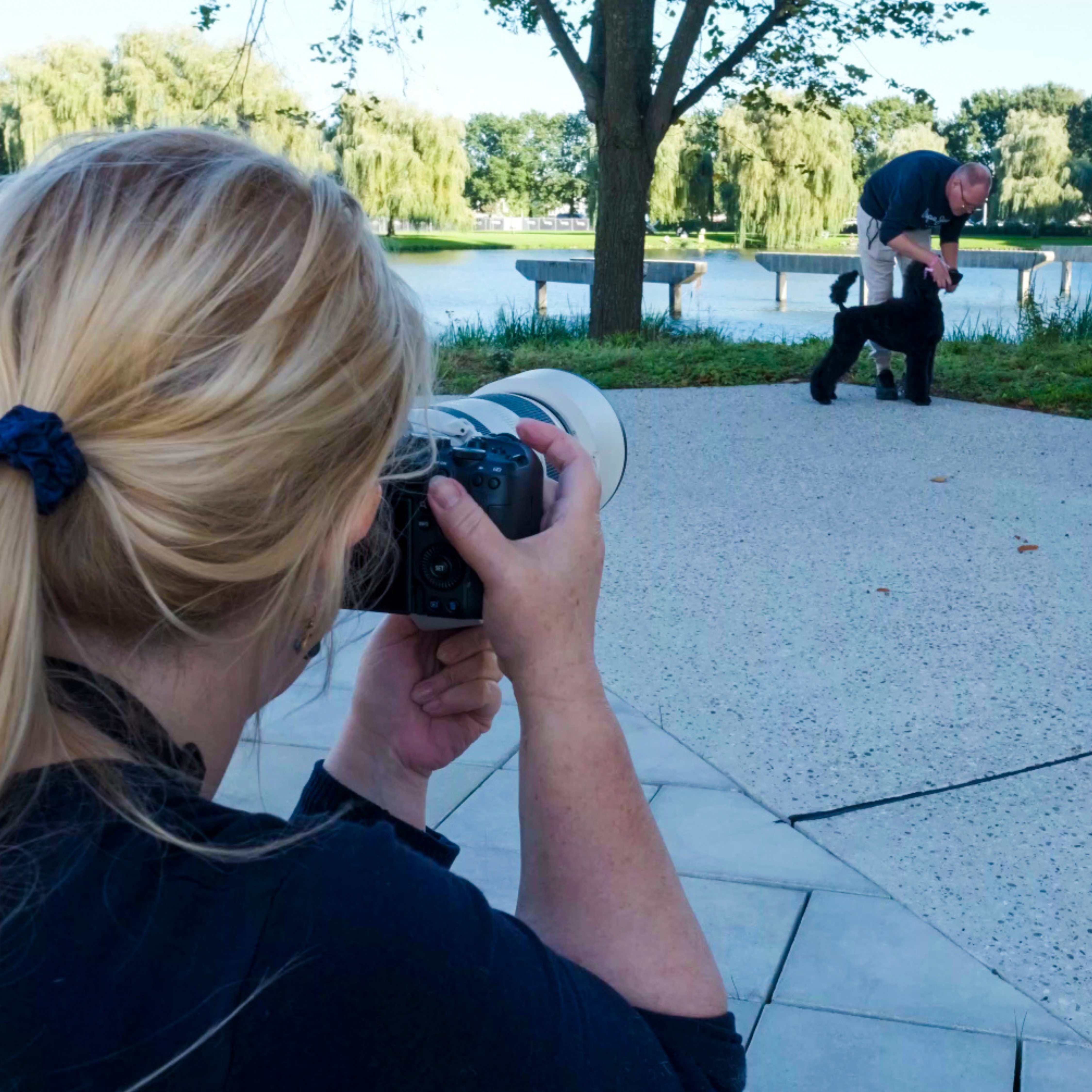 Maud Nilsson photographing black Standard Poodle puppy