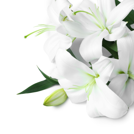 white lilies symbolizing the bereavement doula class