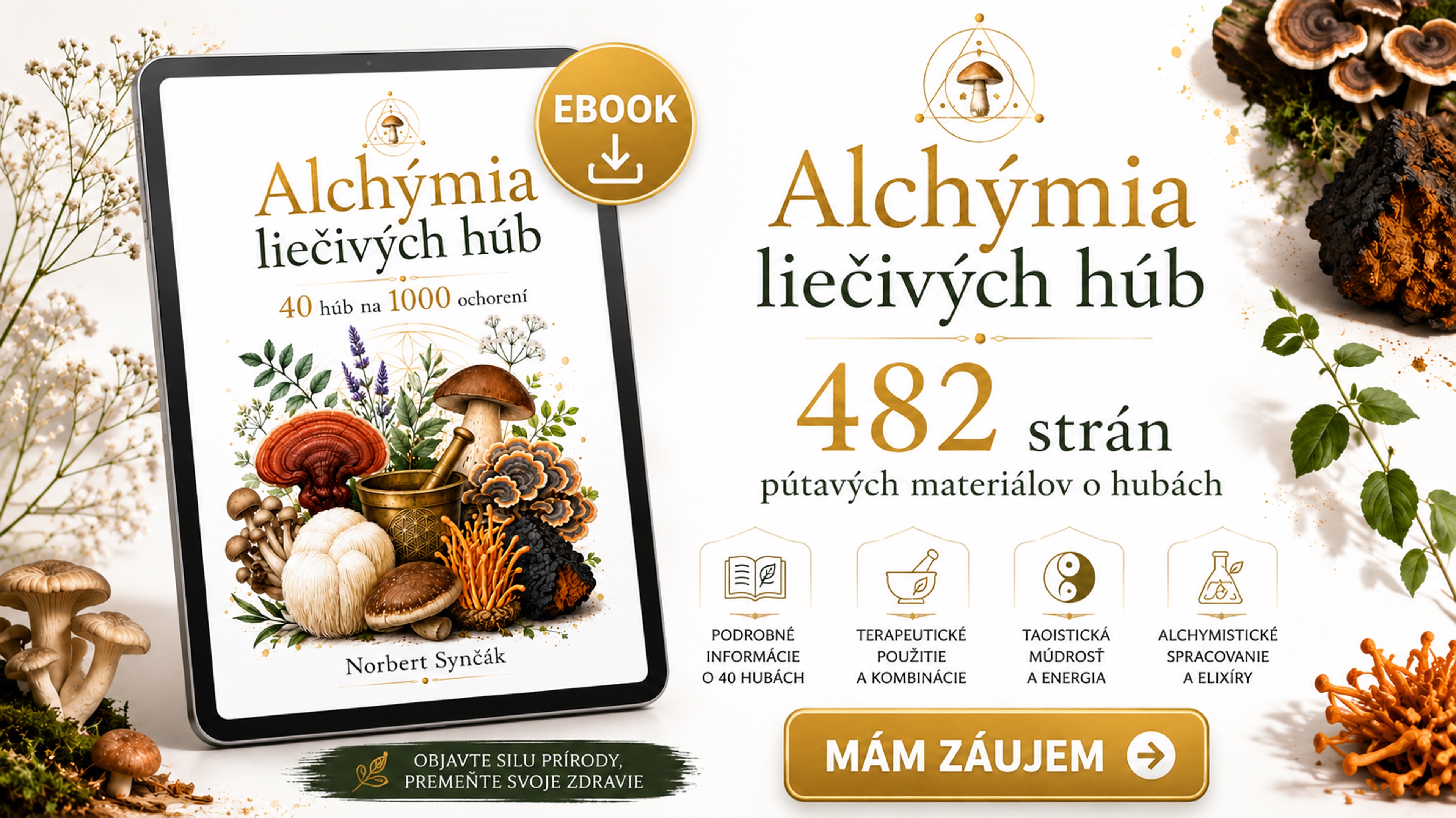 Product image for Alchýmia liečivých húb – 40 húb na 1000 ochorení (EBOOK)