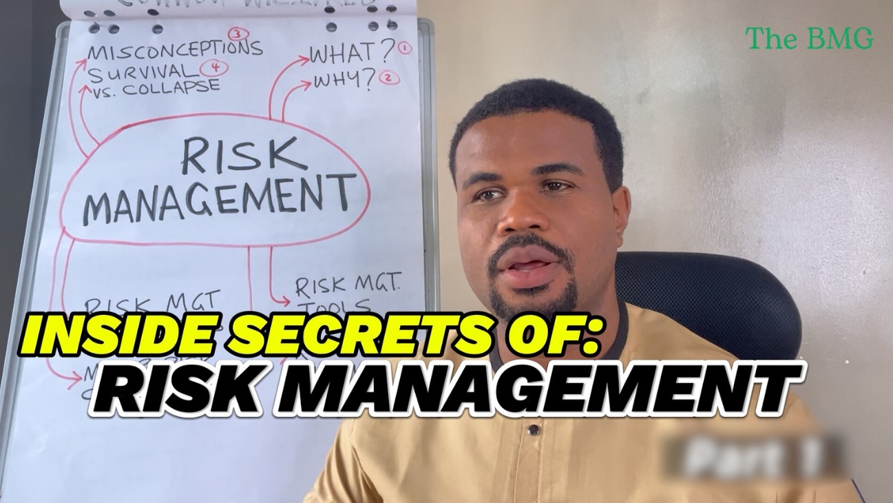 Product image for Risk Management: How to Prepare for Problems, Costly Surprises & Shocks in Business