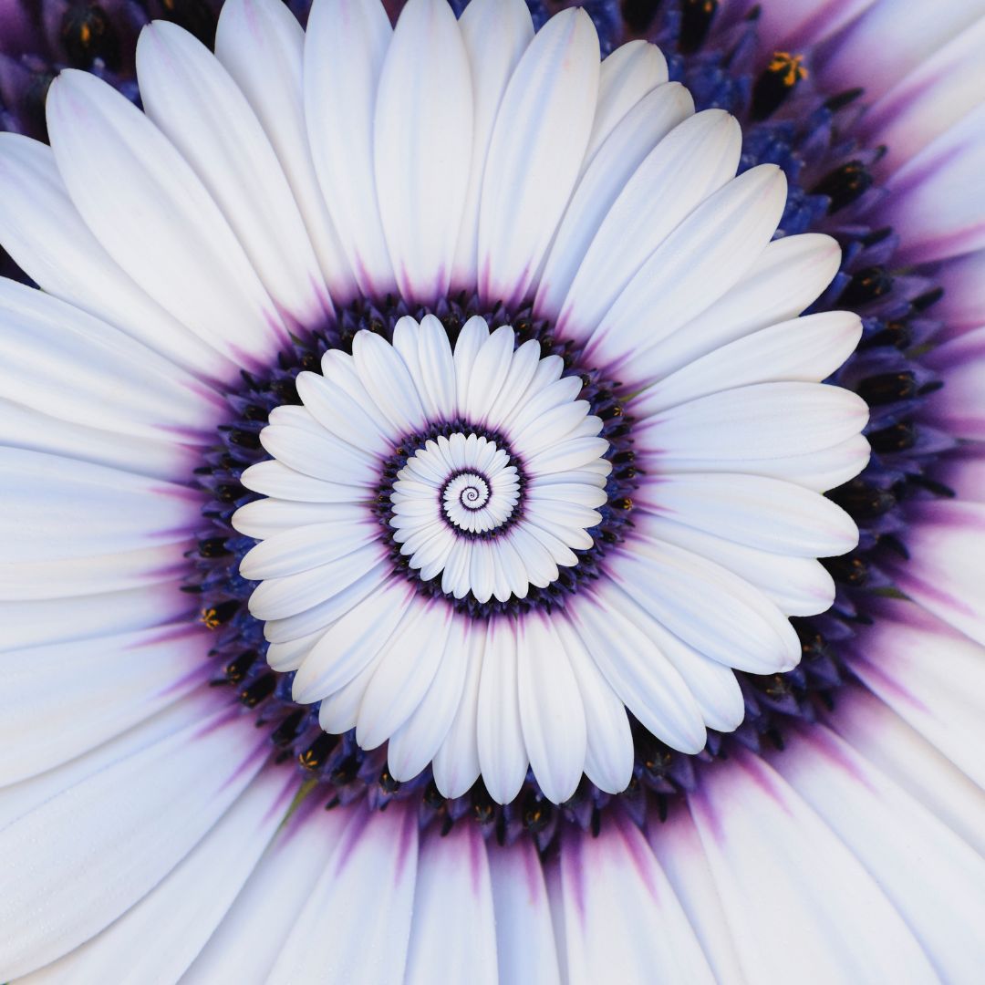 Product image for UBUNTU Birth Attendant Reflection Spiral