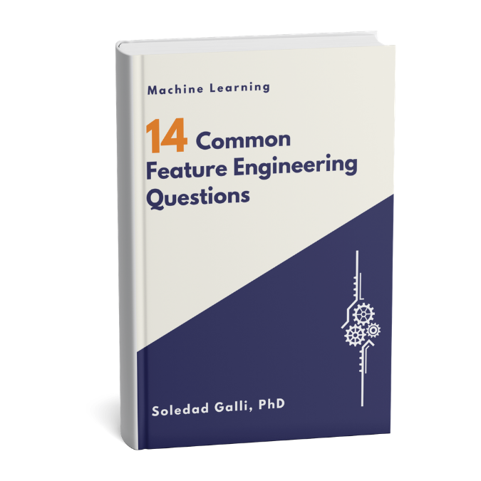 14 Common Feature Engineering Questions booklet