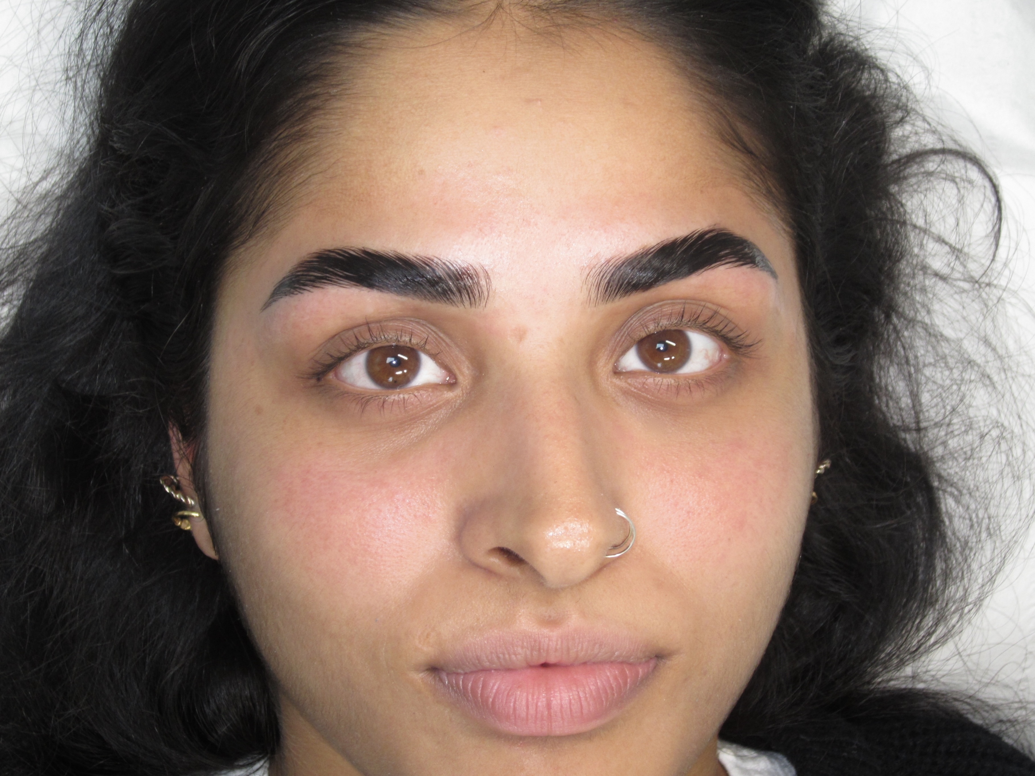 Product image for The Complete Brow Method