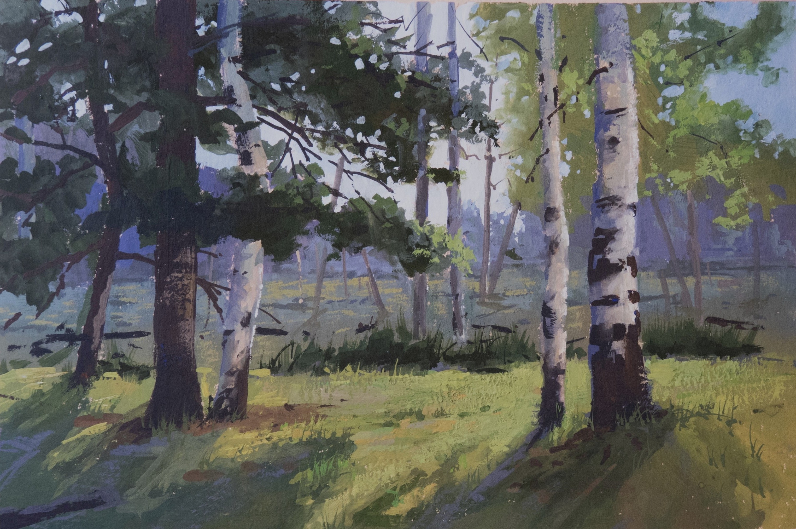 Winter Park Aspens