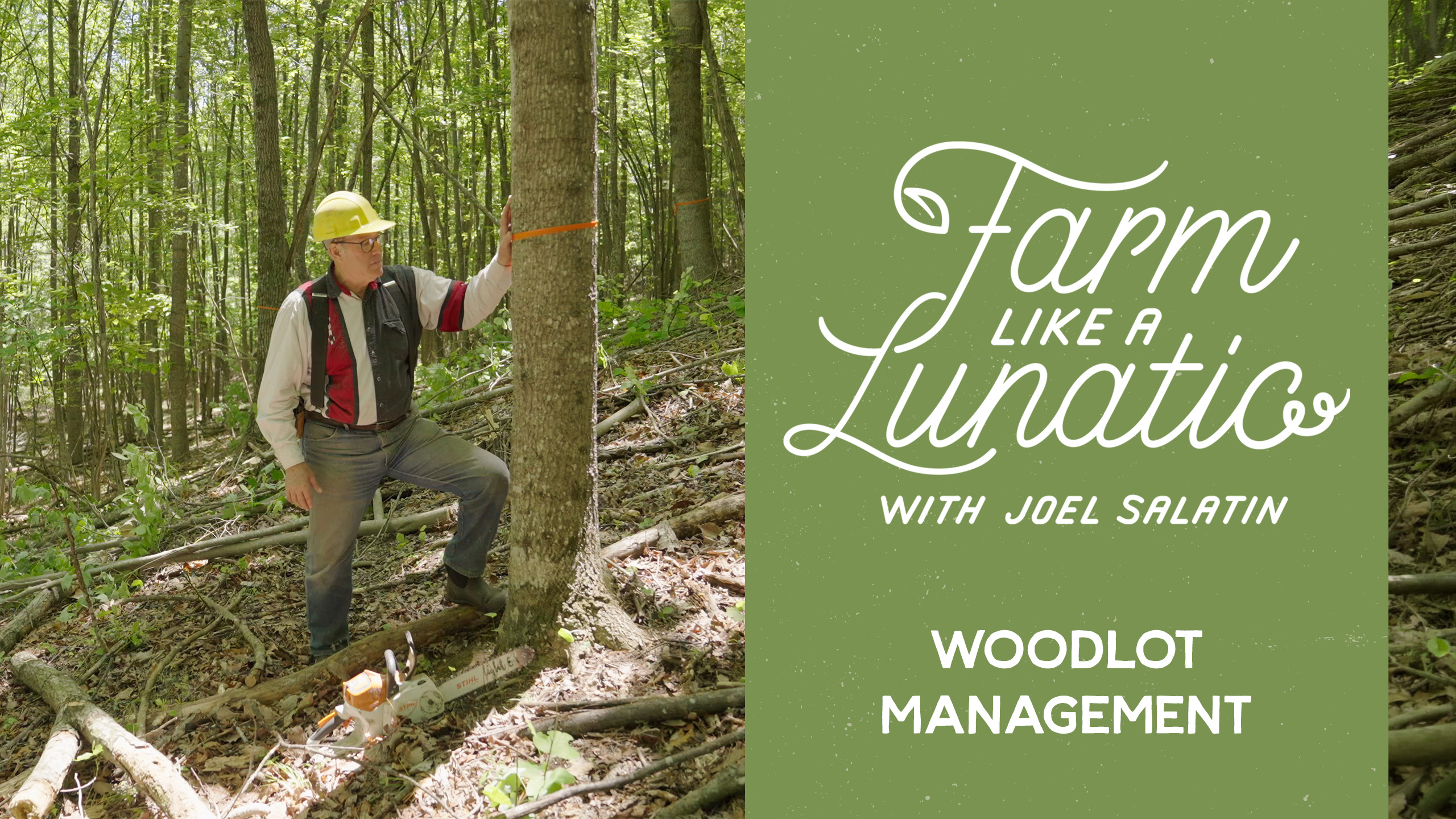 Woodlot Management