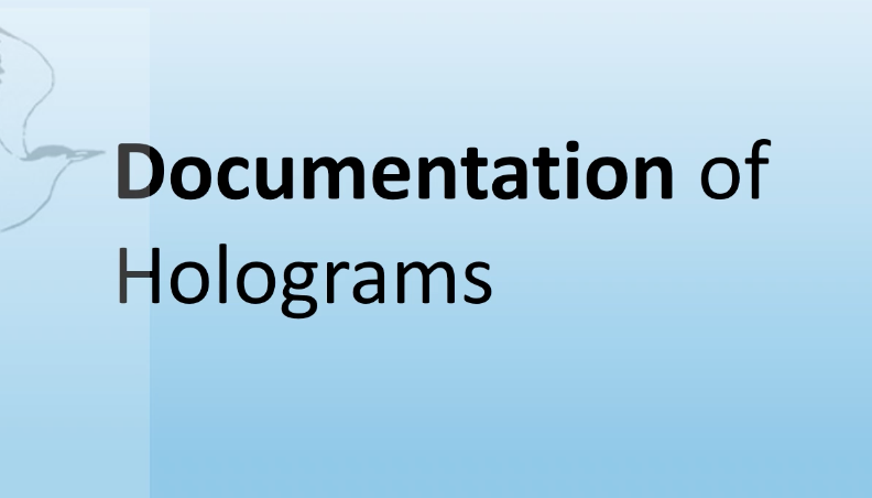 Product image for Documentation of Holograms