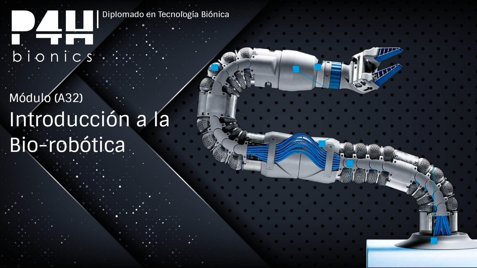 Imagen de producto para (Fase 6.1) Introducción a la bio-robótica