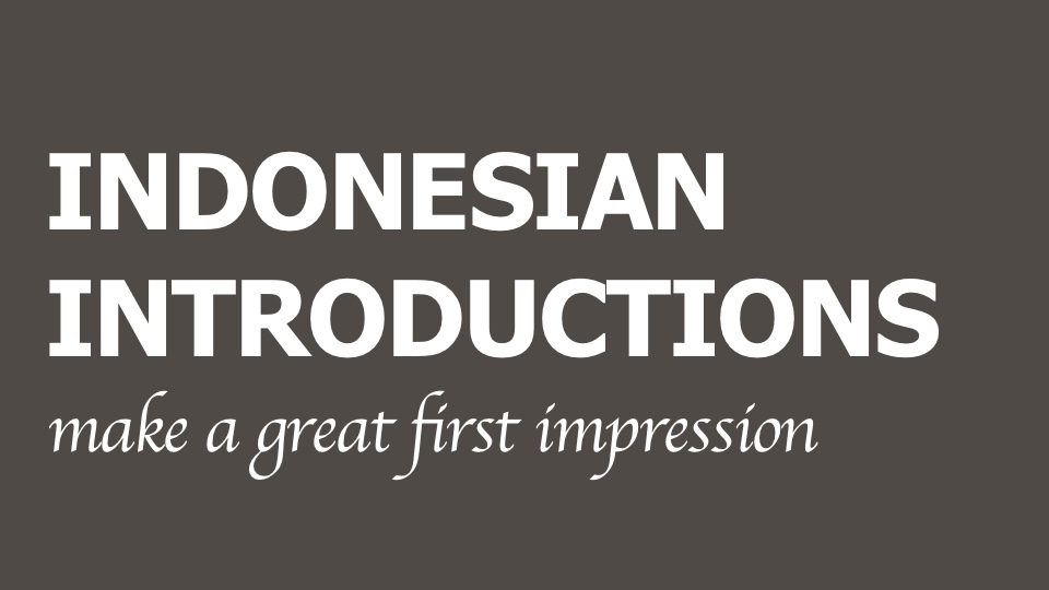 Product image for Indonesian Introductions