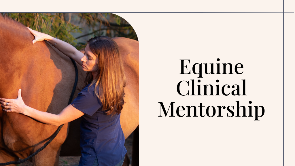 Product image for Equine Clinical Mentorship
