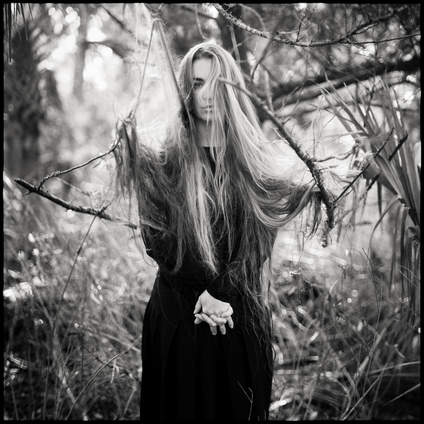 photo by Max Cooper