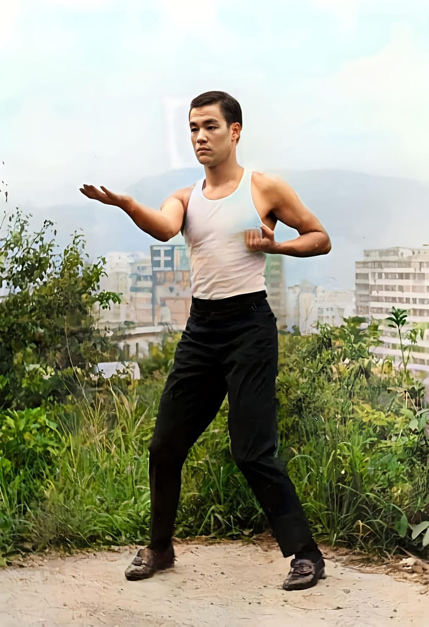 Product image for Sil Lim Tao