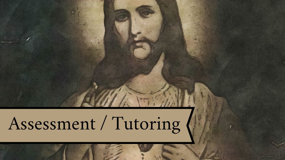 Product image for Assessment / Tutoring