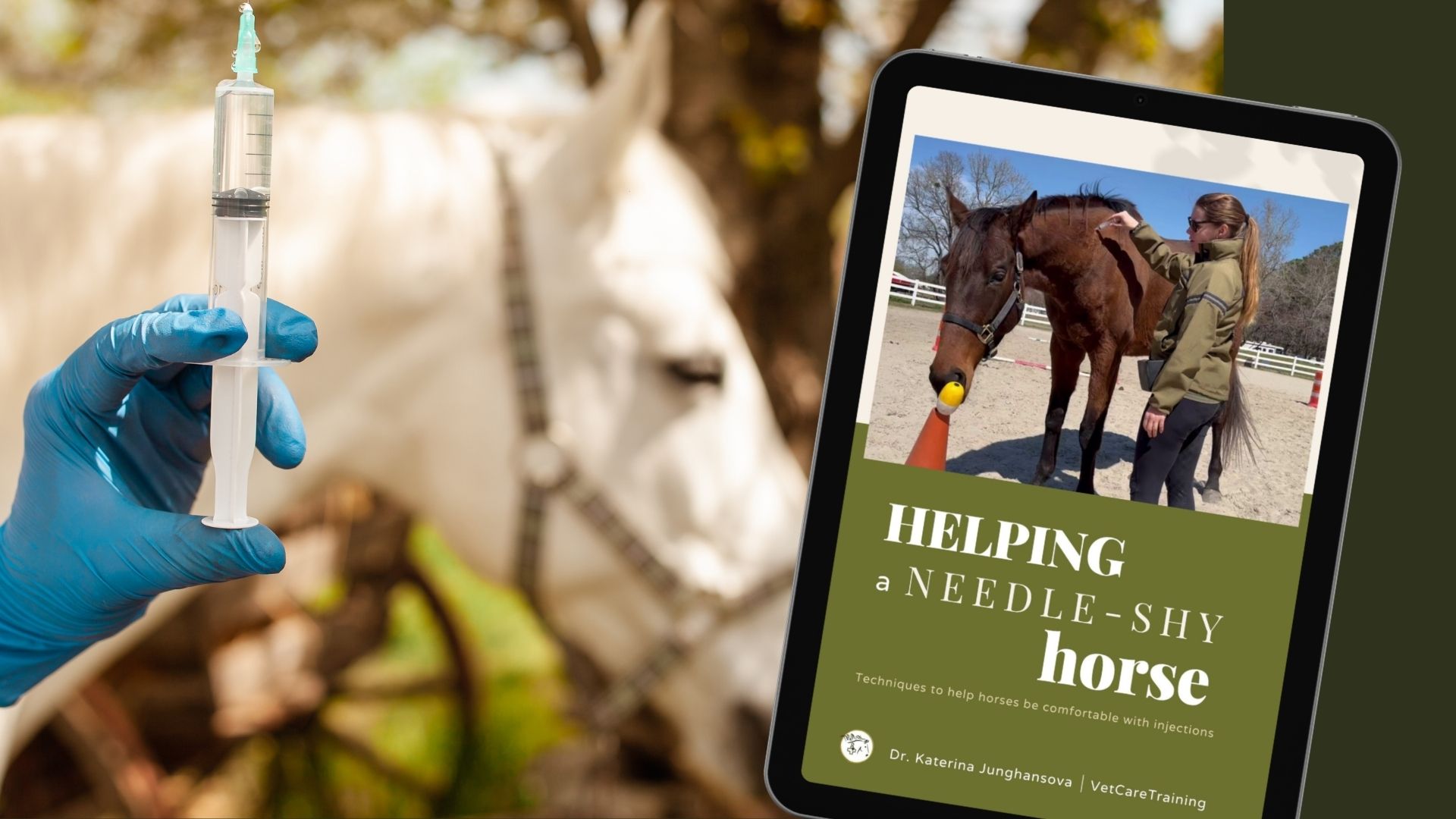 Product image for Helping a needle-shy horse