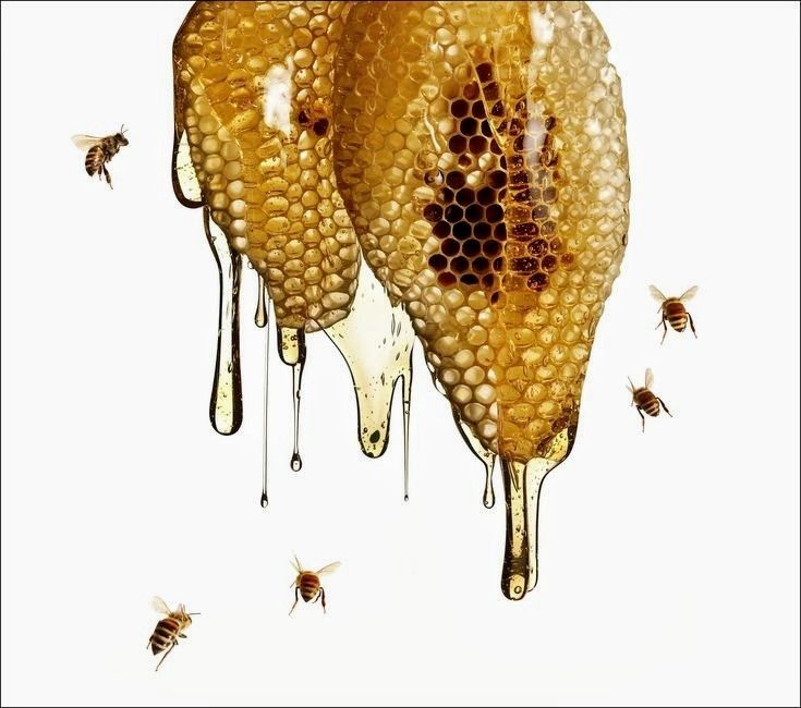 Product image for Honey Body