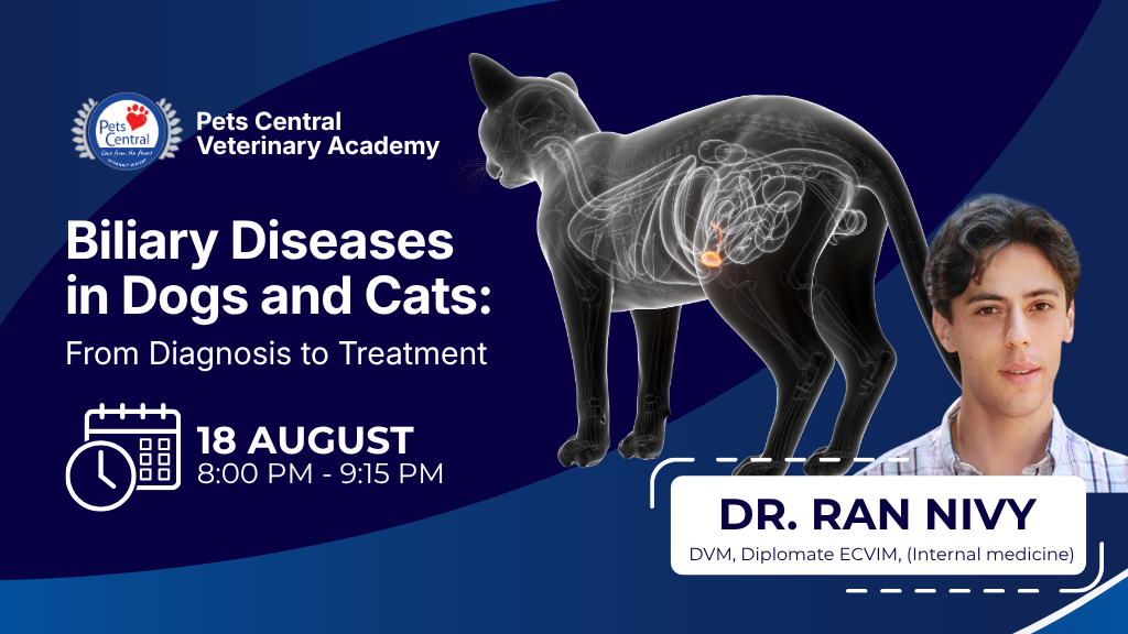 Product image for  Dr. Ran Nivy Lecture 2: Biliary Diseases in Dogs and Cats: From Diagnosis to Treatment