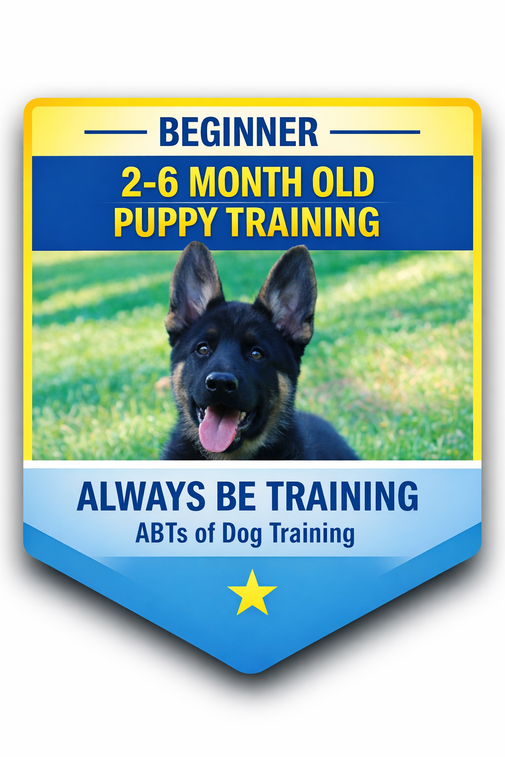 Product image for Beginner Puppy Training System