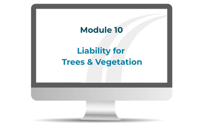 Product image for Highway Law - Module 10 - Liability for Trees & Vegetation