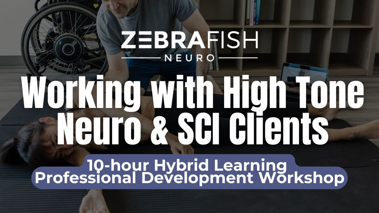 Product image for Working with High Tone: A holistic approach to decreasing tone & spasticity