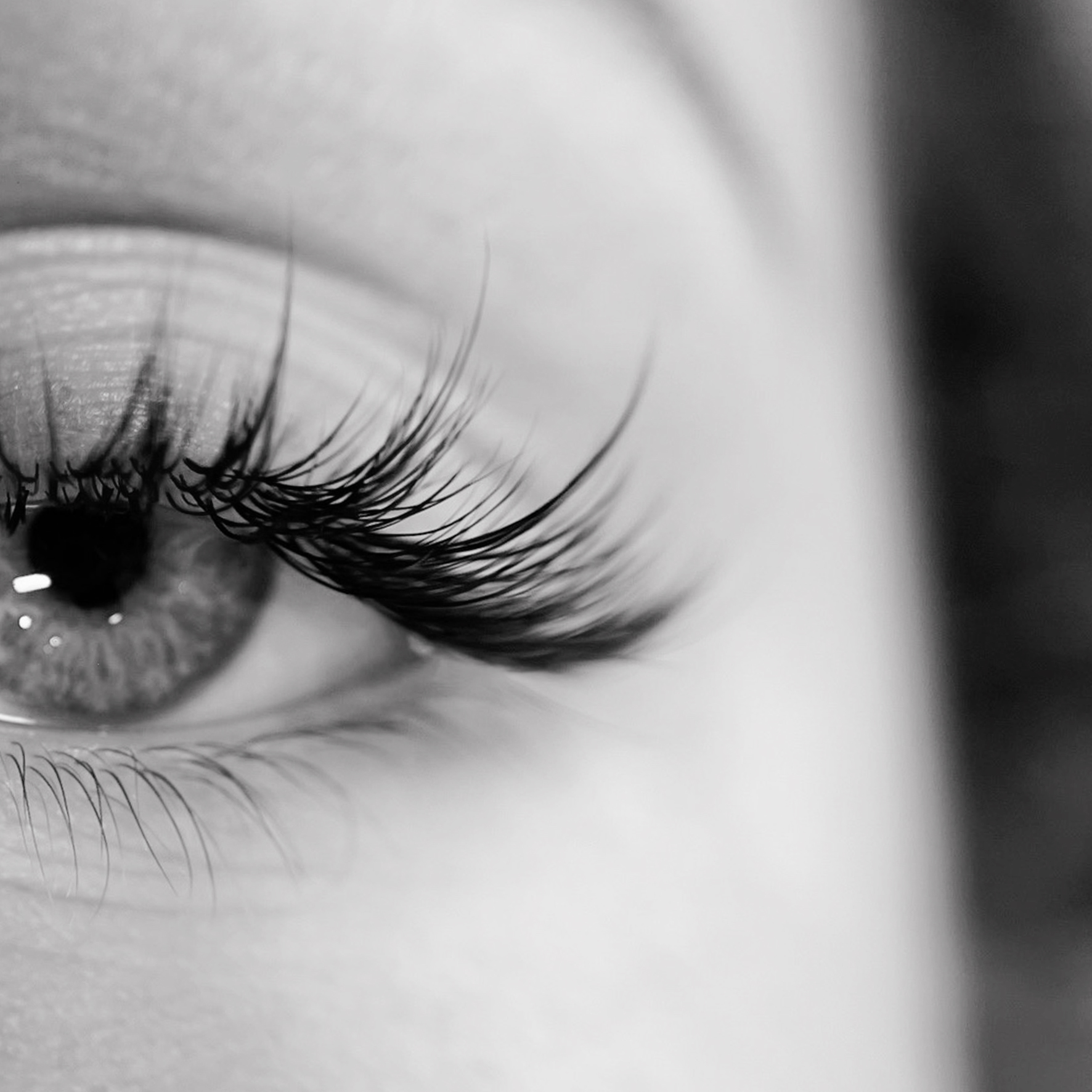 Product image for Beginner Lash Artist Course - Online Pre-Study
