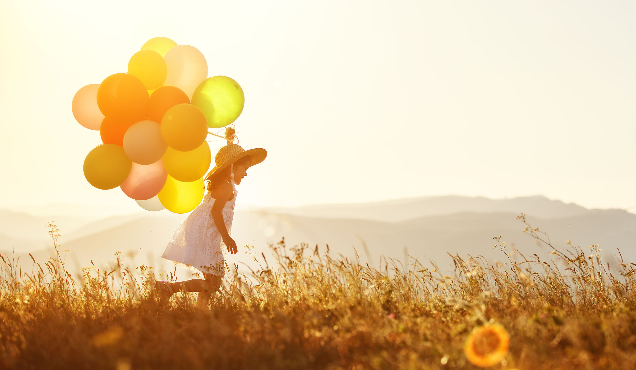 Product image for Saying Goodbye: The Termination Phase of Play Therapy