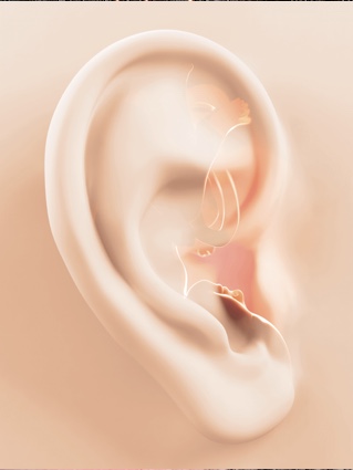 Image du produit pour Académie | 1 | Diagnostic Auriculaire Causal (2026-2nde session)