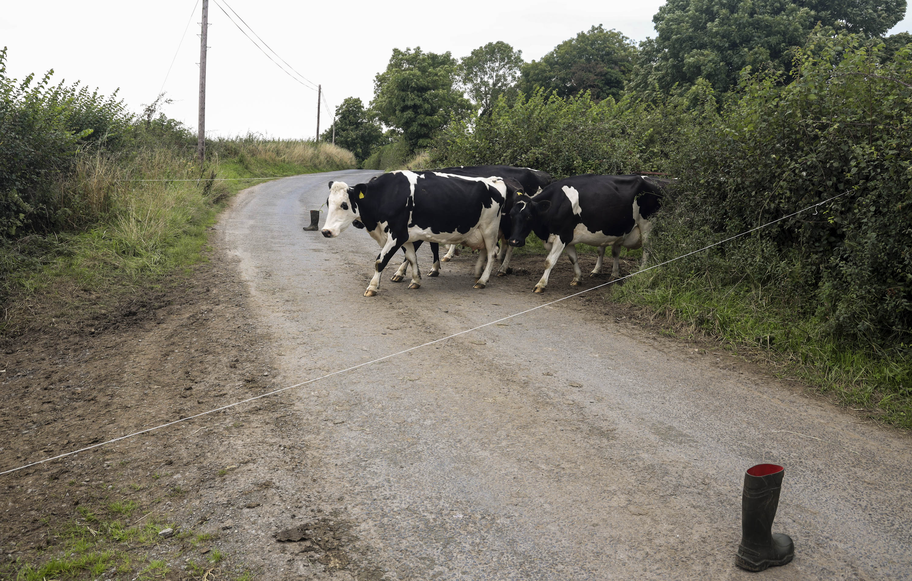 Product image for Roles within the Farm Business for Non Farming Partners