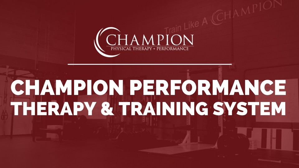 Champion Therapy and Training System Seminar | MikeReinold.com