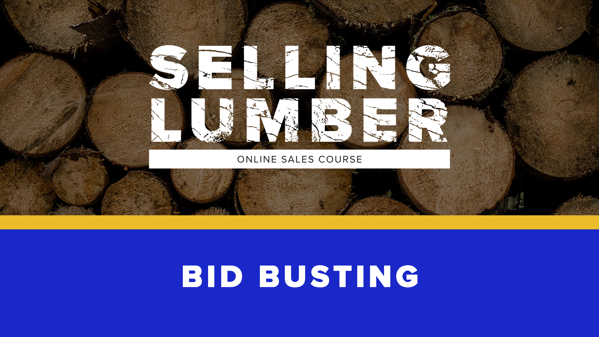 Product image for Bid Busting