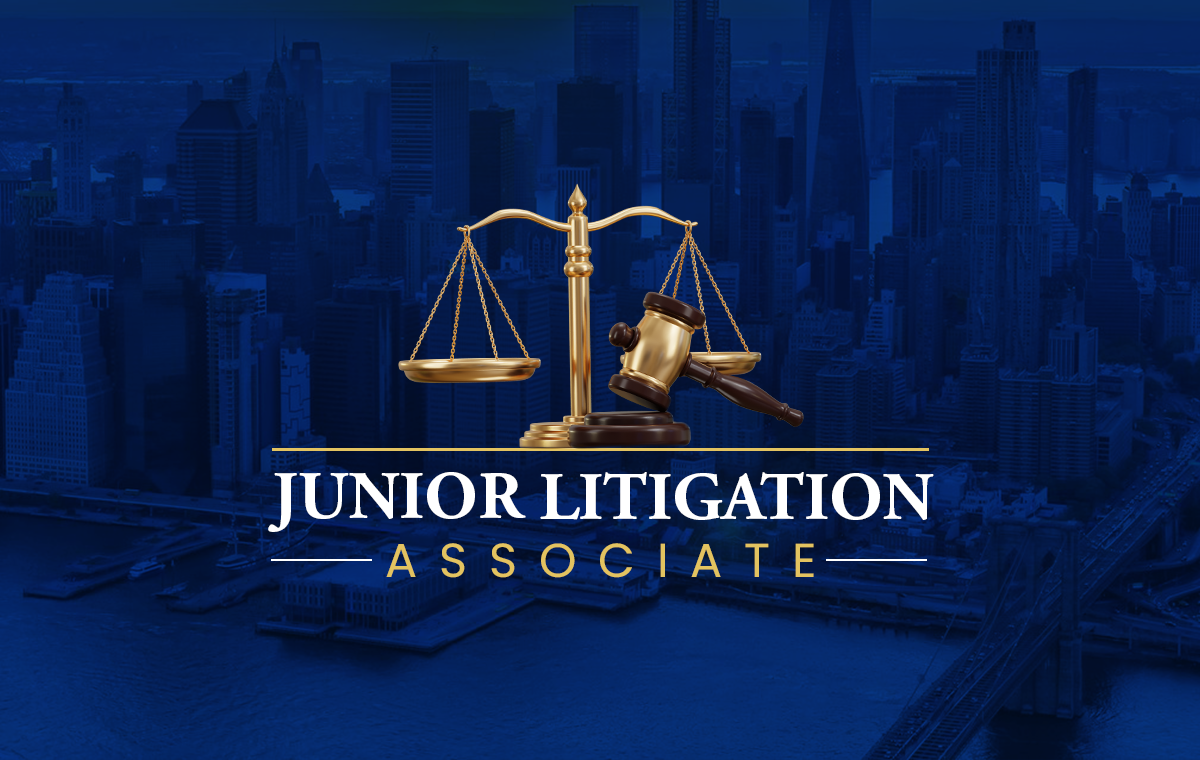 Product image for Associate Accelerator: The Junior Litigation Associate
