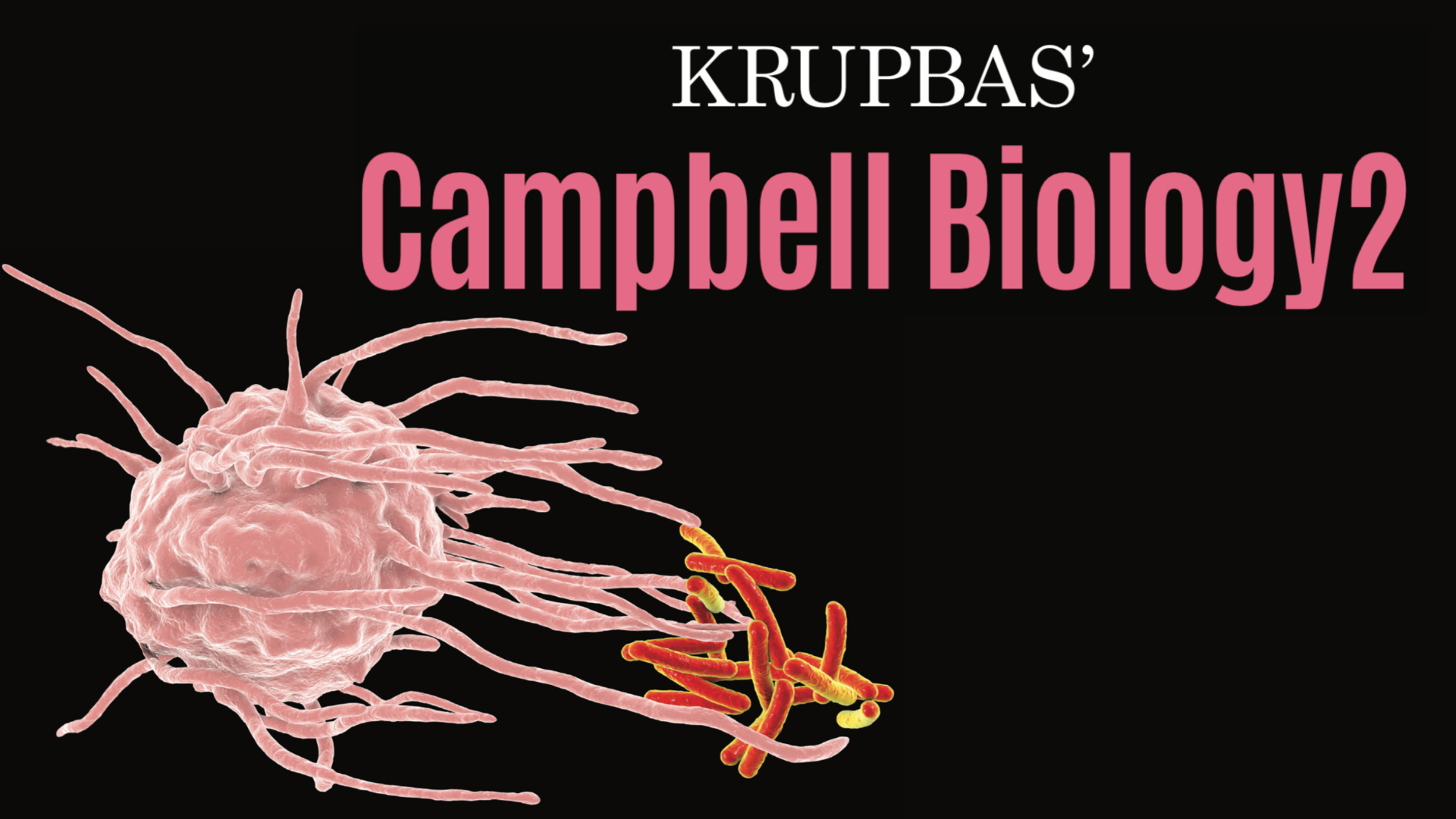 Product image for Campbell Biology 2 Online course (ตลอดชีพ)